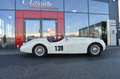 Jaguar XK 120 OTS Beige - thumbnail 18