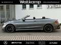 Mercedes-Benz C 43 AMG AMG C 43 4M Cabriolet Perf.Abgas+AMG Optik P.+19 Gris - thumbnail 3