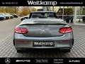 Mercedes-Benz C 43 AMG AMG C 43 4M Cabriolet Perf.Abgas+AMG Optik P.+19 Gris - thumbnail 10