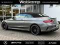 Mercedes-Benz C 43 AMG AMG C 43 4M Cabriolet Perf.Abgas+AMG Optik P.+19 Gris - thumbnail 24