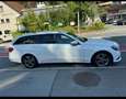 Mercedes-Benz E 220 T BlueTEC BlueEFFICIENCY Edition A-Edition Aut. - thumbnail 11