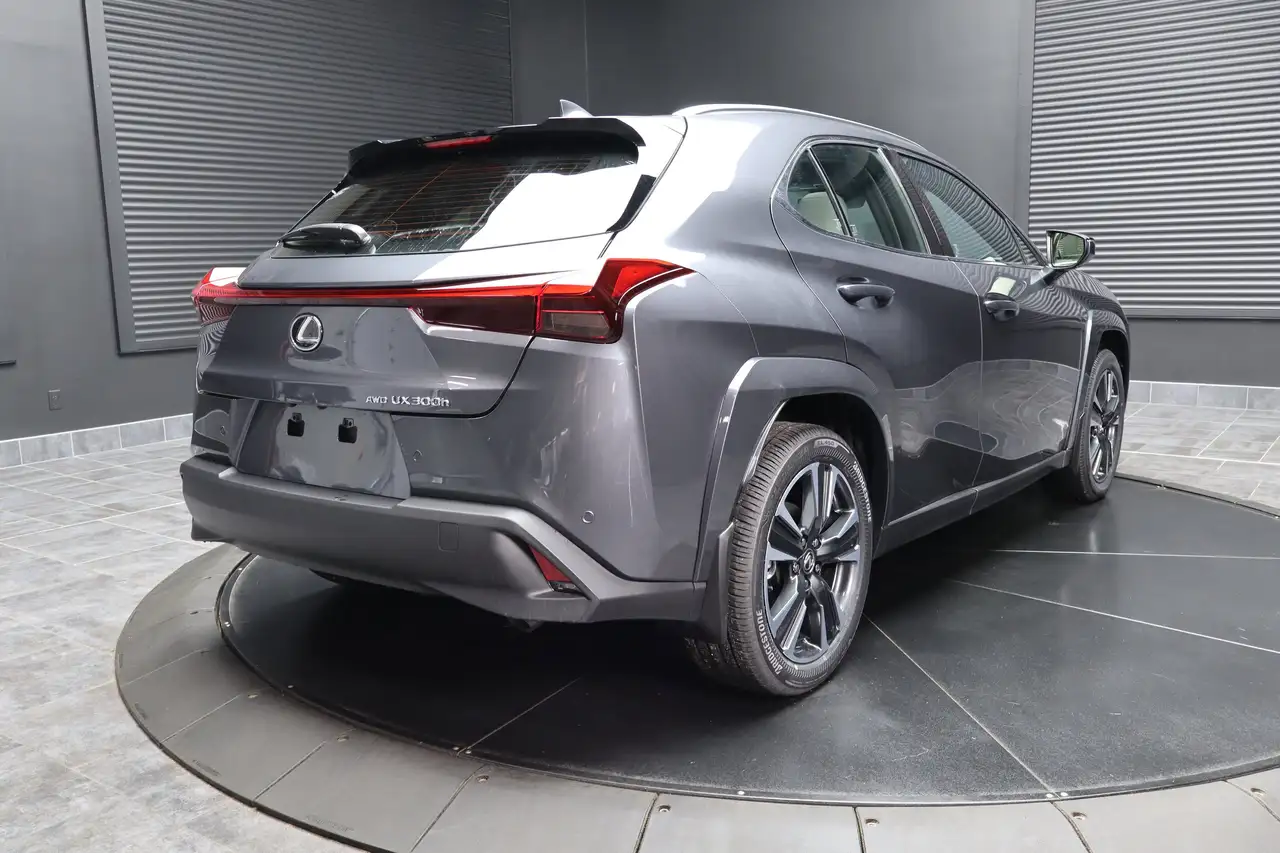 Lexus UX снимка Lexus UX