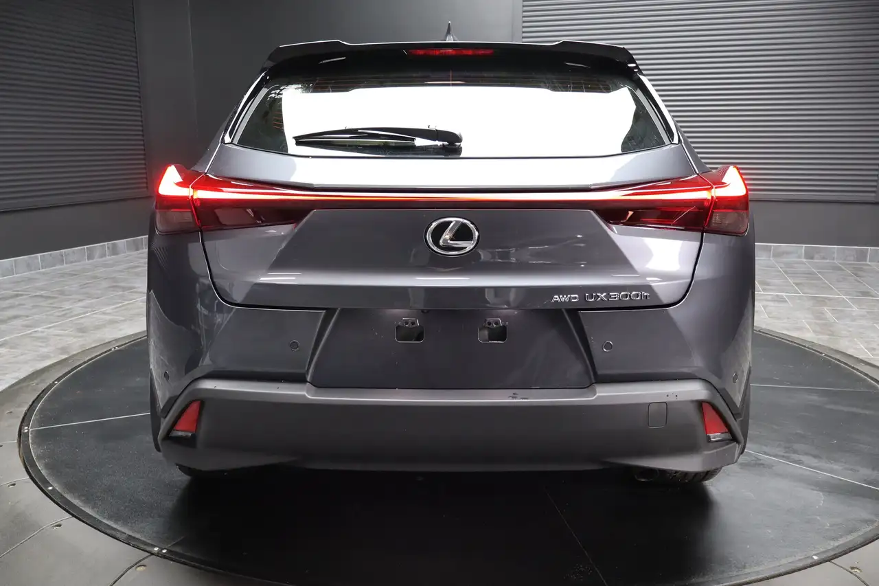Lexus UX снимка Lexus UX