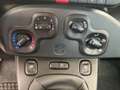 Fiat Panda Panda 1.0 firefly hybrid s Bianco - thumbnail 7