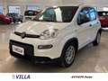 Fiat Panda Panda 1.0 firefly hybrid s Bianco - thumbnail 2