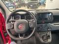 Fiat Panda Panda 1.0 firefly hybrid s Bianco - thumbnail 3