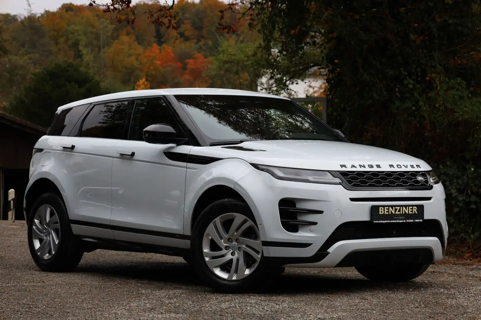 Land Rover Range Rover Evoque R-Dynamic S/360°/LED/BLACK/ Weiß - 1