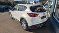 Mazda CX-5 Revolution AWD ''Top Ausstattung '' Blanco - thumbnail 6