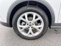 SEAT Arona FR 1.0 TSI*KLIMA*RFK*ACC*uvm Weiß - thumbnail 6