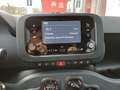 Fiat Sonstige Pandina Panda FireFly Hybrid 70 Cross Schwarz - thumbnail 11