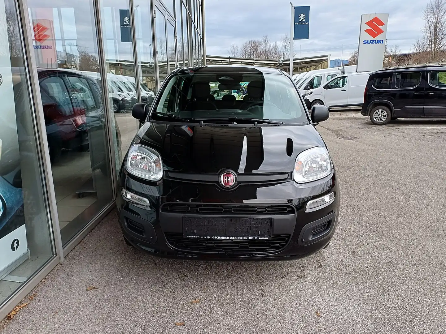Fiat Sonstige Pandina Panda FireFly Hybrid 70 Cross Schwarz - 2