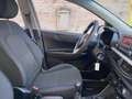Kia Picanto 1.0 DPI 67CV 5 PORTE CLIMA BLUETOOTH NEOPATENTATI - thumbnail 6
