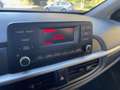 Kia Picanto 1.0 DPI 67CV 5 PORTE CLIMA BLUETOOTH NEOPATENTATI - thumbnail 10