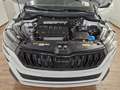 Skoda Karoq Sportline 4x4 2.0 TSI DSG Matrix Navi AHK Wit - thumbnail 16