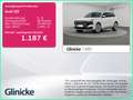 Audi Q9 SUV TDI quattro 220 kW NEUBESTELLUNG MJ 2027 Weiß - thumbnail 1