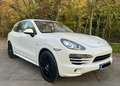 Porsche Cayenne 3.0 V6 Sport Design, GTS, Panoramadach Weiß - thumbnail 2