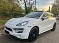 Porsche Cayenne 3.0 V6 Sport Design, GTS, Panoramadach Weiß - thumbnail 3