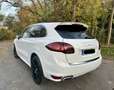 Porsche Cayenne 3.0 V6 Sport Design, GTS, Panoramadach Weiß - thumbnail 5