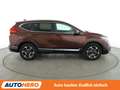 Honda CR-V 1.5 Turbo Lifestyle 4WD*NAV*LED*ACC*CAM*PDC*SHZ*BT Braun - thumbnail 7