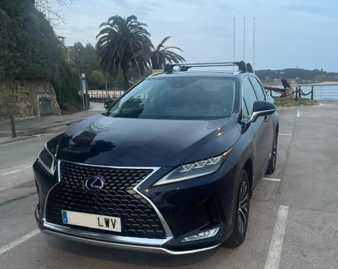 Lexus RX 450h RX 450h Business  5p Iva  IVA DEDUCIBLE Azul - 1