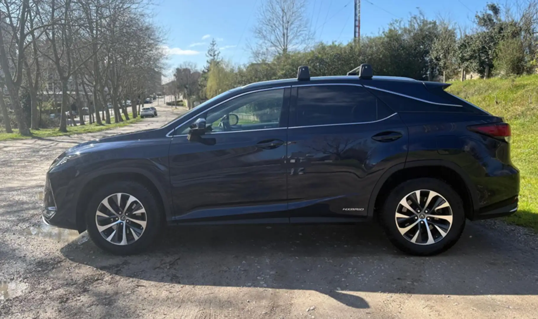 Lexus RX 450h RX 450h Business  5p Iva  IVA DEDUCIBLE Azul - 2