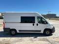 Fiat Ducato Fiat Ducato | Camper 3 Posti | Pronto a Viaggiare Gri - thumbnail 4