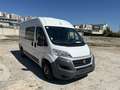 Fiat Ducato Fiat Ducato | Camper 3 Posti | Pronto a Viaggiare Gri - thumbnail 3