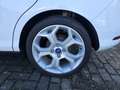 Ford B-Max 1.0 EcoBoost Titanium Panaromadak/Stoelverw. Bj:20 Wit - thumbnail 18