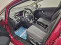 Ford Fiesta Fiesta 1.2 82 CV 5 porte Titanium Violett - thumbnail 10