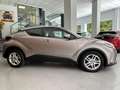 Toyota C-HR 1.8 125H Advance Gris - thumbnail 6