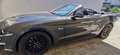 Ford Mustang Mustang 5,0 Ti-VCT V8 GT Cabrio Aut. GT Grau - thumbnail 4