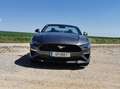 Ford Mustang Mustang 5,0 Ti-VCT V8 GT Cabrio Aut. GT Grau - thumbnail 16