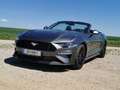Ford Mustang Mustang 5,0 Ti-VCT V8 GT Cabrio Aut. GT Grau - thumbnail 3
