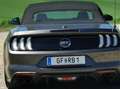 Ford Mustang Mustang 5,0 Ti-VCT V8 GT Cabrio Aut. GT Grau - thumbnail 31