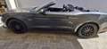 Ford Mustang Mustang 5,0 Ti-VCT V8 GT Cabrio Aut. GT Grau - thumbnail 5