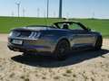 Ford Mustang Mustang 5,0 Ti-VCT V8 GT Cabrio Aut. GT Grau - thumbnail 19