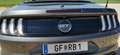 Ford Mustang Mustang 5,0 Ti-VCT V8 GT Cabrio Aut. GT Grau - thumbnail 23