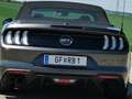 Ford Mustang Mustang 5,0 Ti-VCT V8 GT Cabrio Aut. GT Grau - thumbnail 30