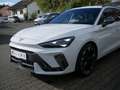 CUPRA Leon Sportstourer 2.0 TDI DSG FACEL. LED AHK Weiß - thumbnail 24