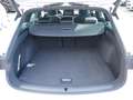 CUPRA Leon Sportstourer 2.0 TDI DSG FACEL. LED AHK Weiß - thumbnail 22