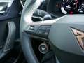 CUPRA Leon Sportstourer 2.0 TDI DSG FACEL. LED AHK Weiß - thumbnail 17