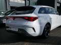CUPRA Leon Sportstourer 2.0 TDI DSG FACEL. LED AHK Weiß - thumbnail 23