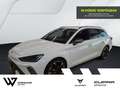 CUPRA Leon Sportstourer 2.0 TDI DSG FACEL. LED AHK Weiß - thumbnail 1