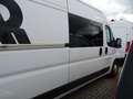 Fiat Ducato 2,3l TDI Maxi 150 L4H2 Multicab, 7 Sitze, Navi, Te Weiß - thumbnail 9