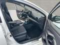 Toyota Yaris Hybrid Team Deutschland, Comfort-Paket Blanco - thumbnail 15