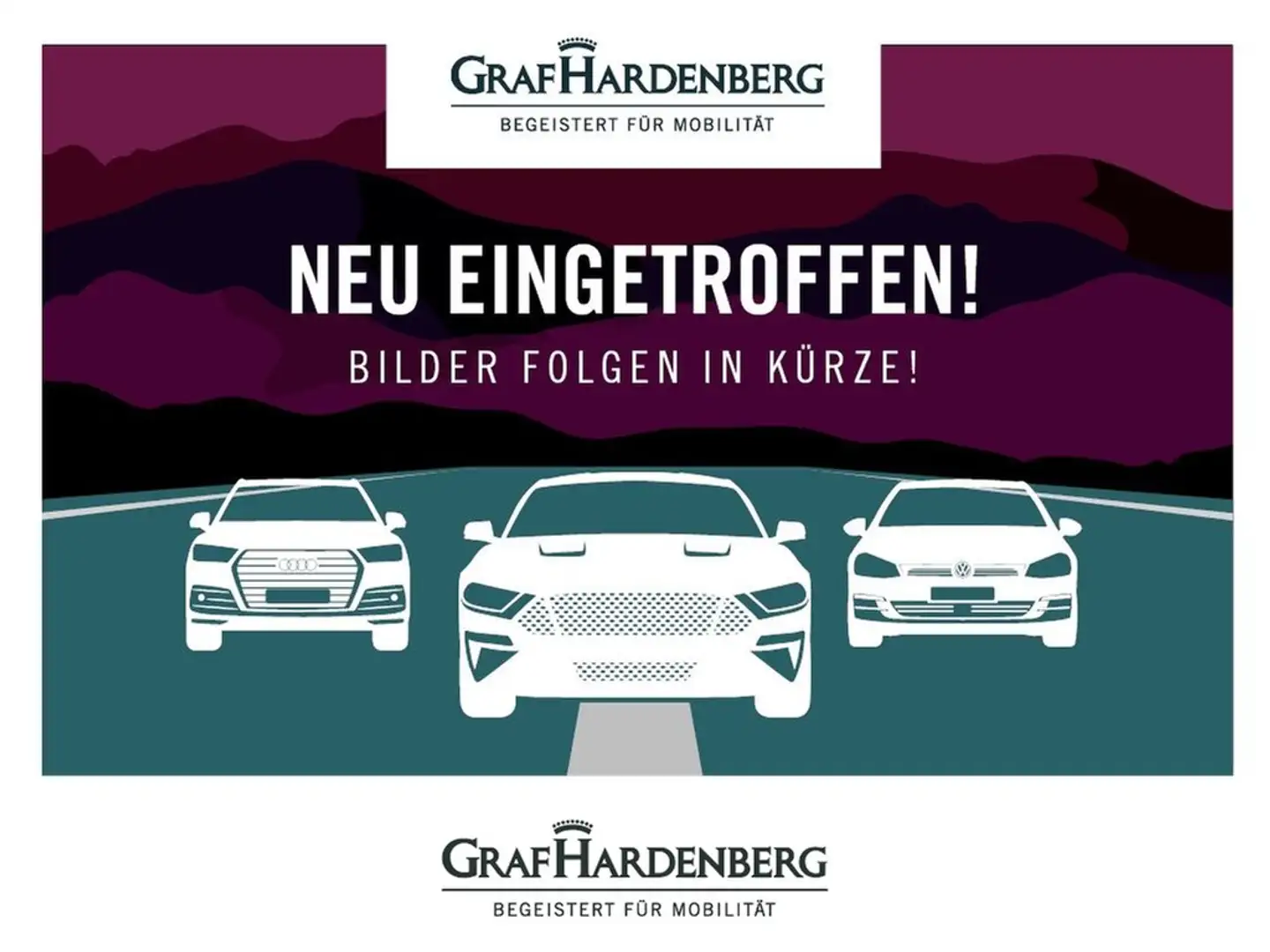 Skoda Fabia "Drive" 1,0 TSI 116 PS 6-Gang AHK ACC Grijs - 1