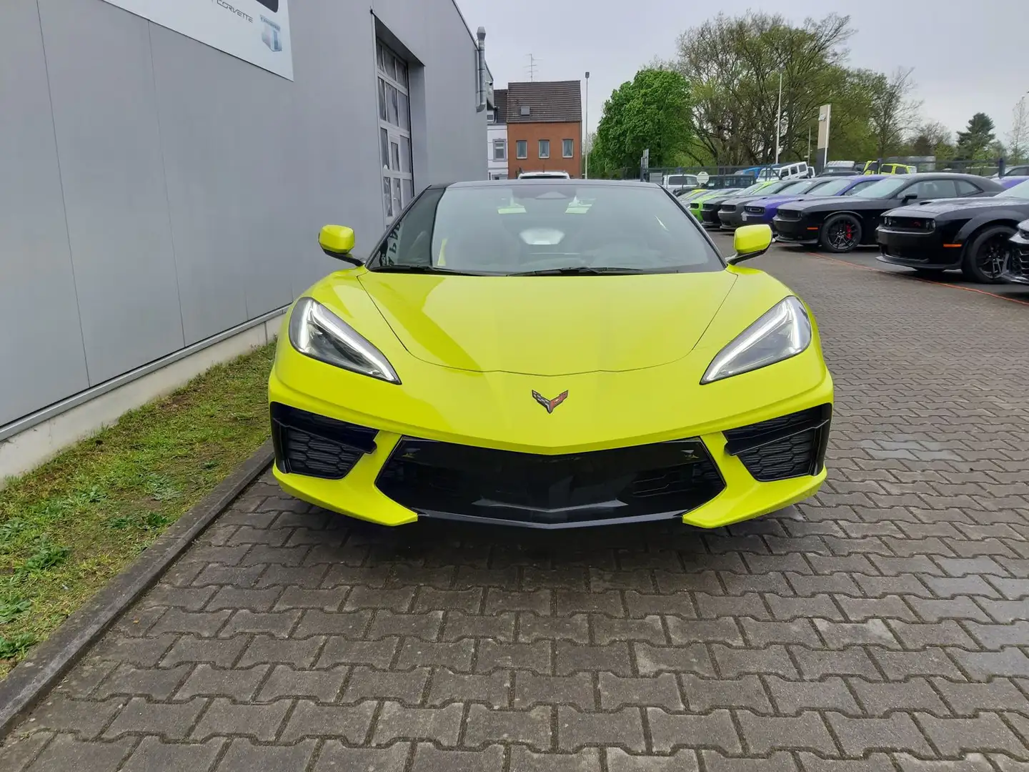 Corvette C8 Corvette C8 2LT Convertible 6.2V8 MY24|Magn|Lift Jaune - 2