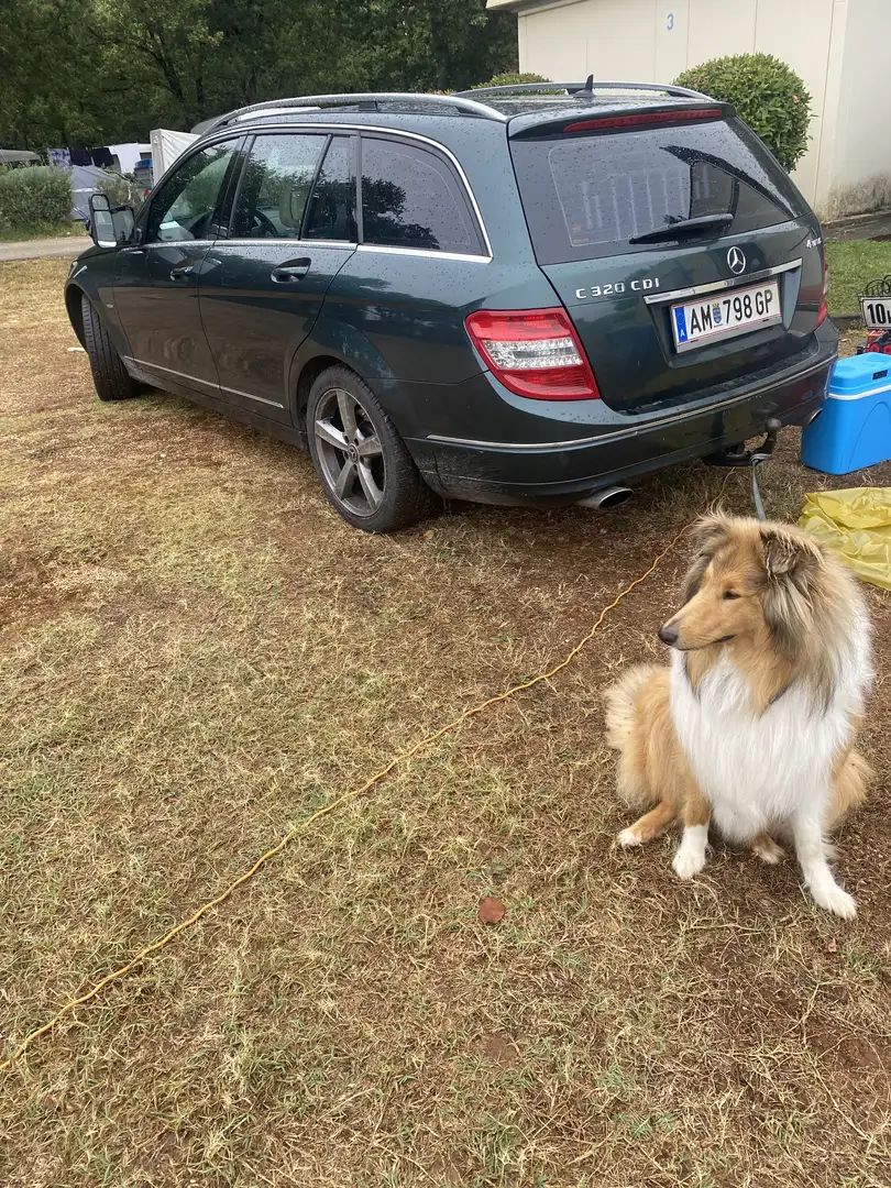 Mercedes-Benz C 320 T Avantgarde 4MATIC CDI Aut. - 1