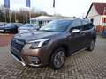 Subaru Forester 2.0ie Lineartronic Platinum Brons - thumbnail 1