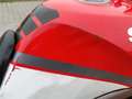 Suzuki GS 500 Piros - thumbnail 11